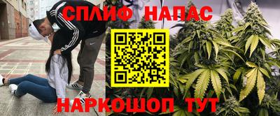 mix Кингисепп