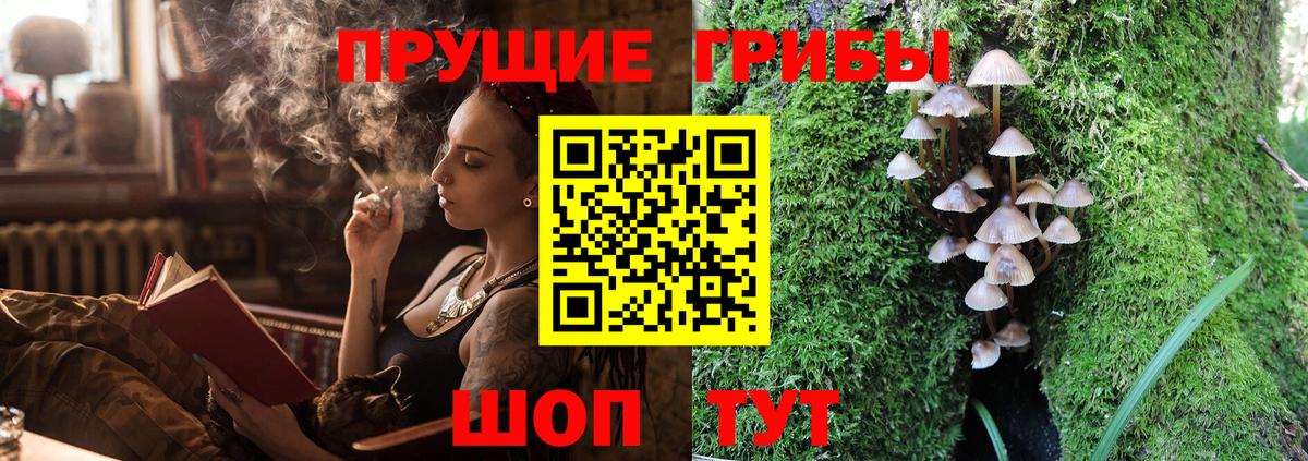 Кизилюрт  Галлюциногенные грибы Magic Shrooms  Вход с VPN 